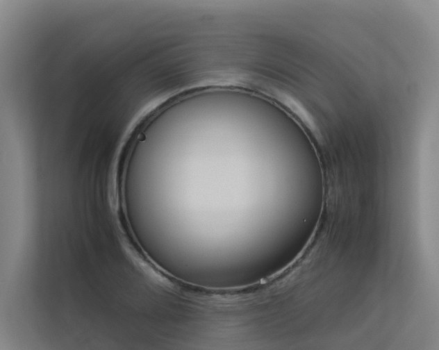 X0000113261080200909101454