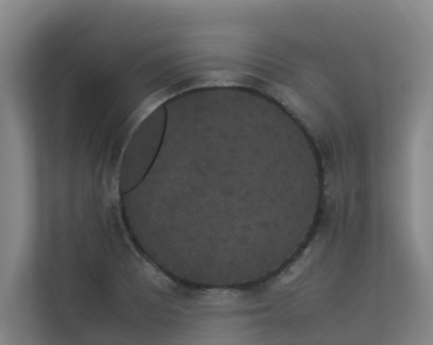 X0000113261081200909101454