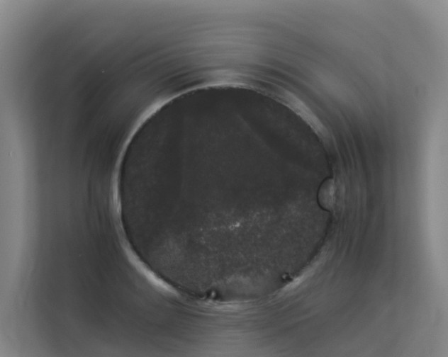 X0000113261084200909101454