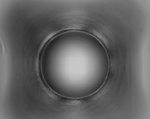 X0000113261085200909101454