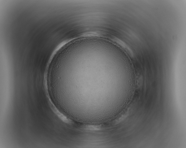 X0000113261086200909101454