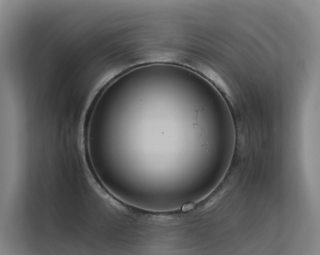 X0000113261088200909101454