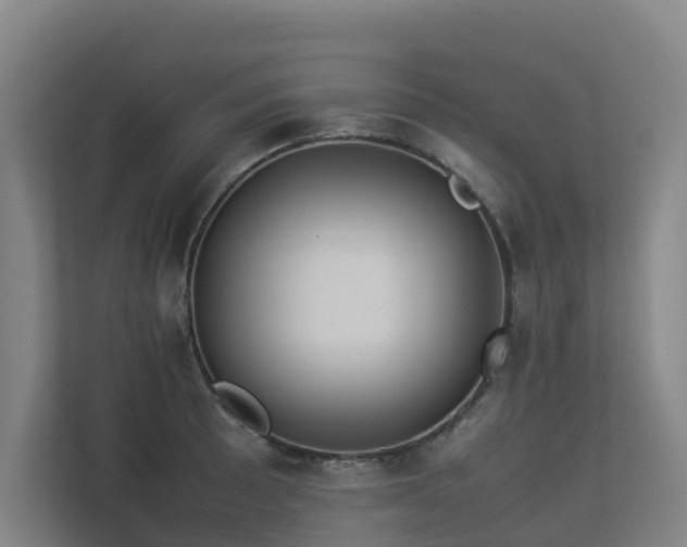 X0000113261089200909101454