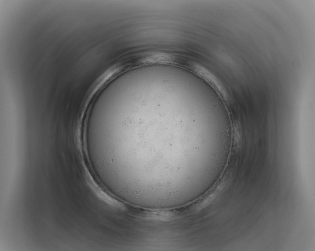 X0000113261090200909101454