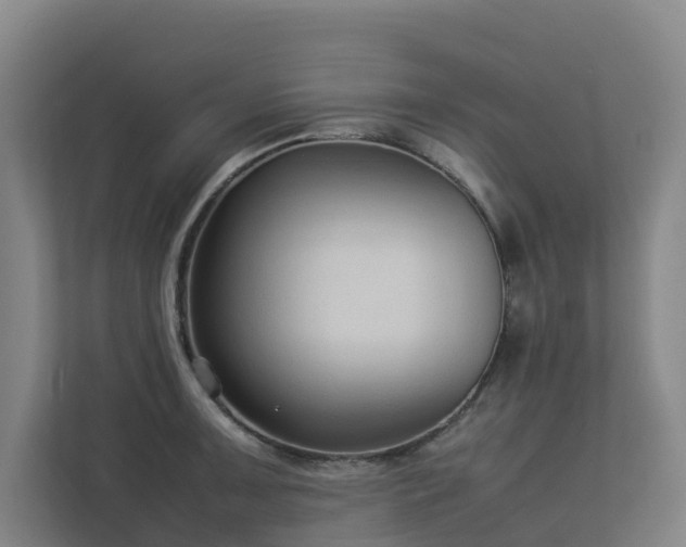 X0000113261091200909101454