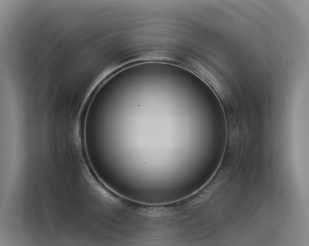 X0000113261092200909101454