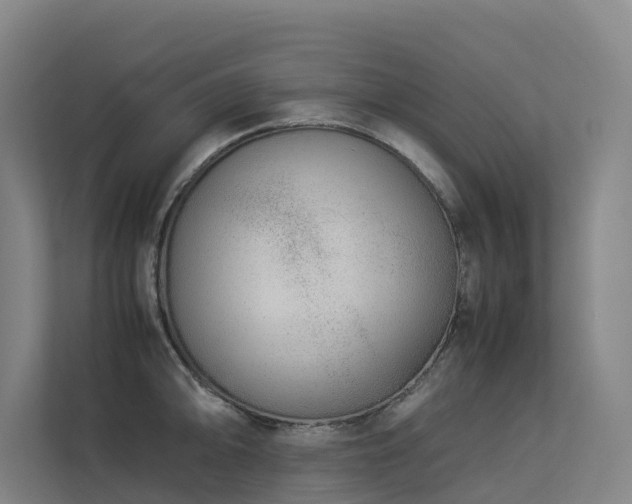 X0000113261094200909101454