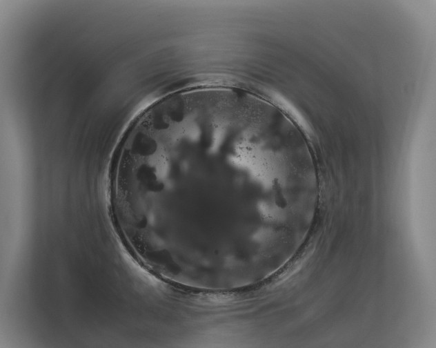 X0000113261095200909101454