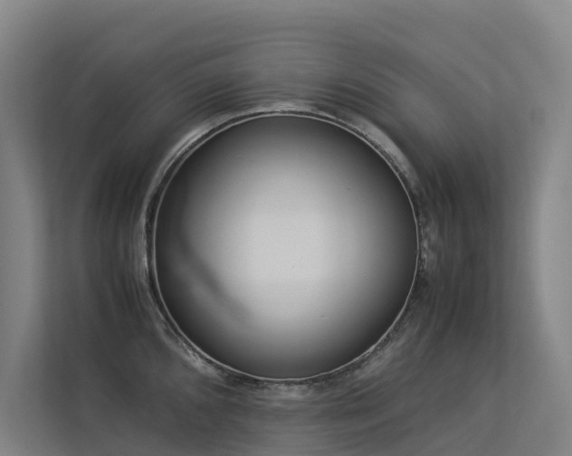 X0000113261096200909101454