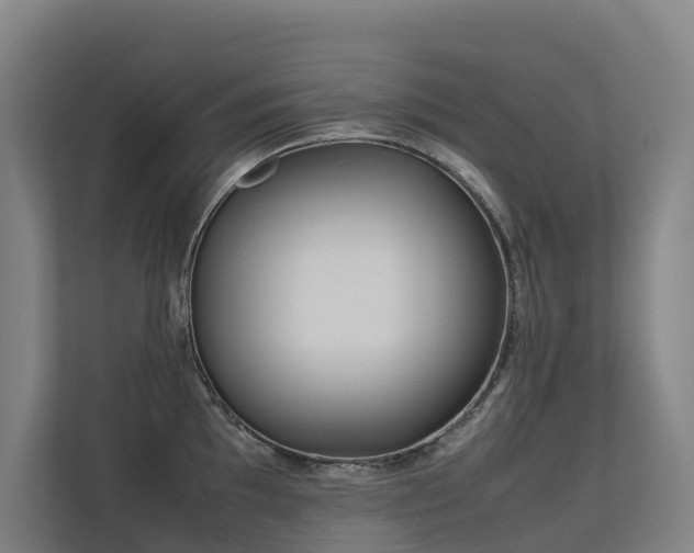 X0000113261097200909101454