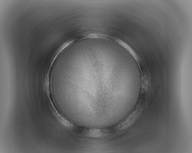 X0000113261098200909101454