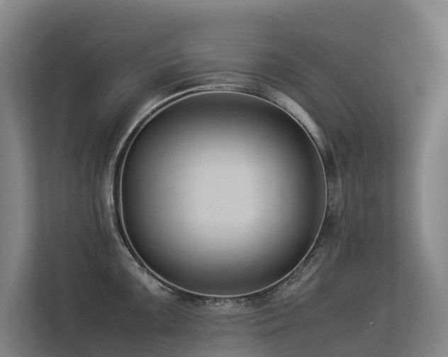 X0000113261099200909101454