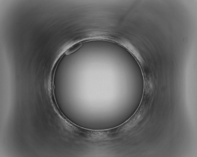 X0000113261101200909101454