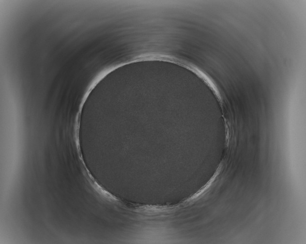 X0000113261102200909101454