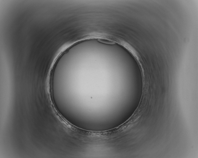 X0000113261104200909101454