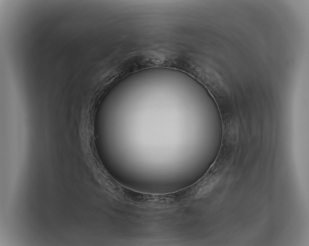 X0000113261105200909101453