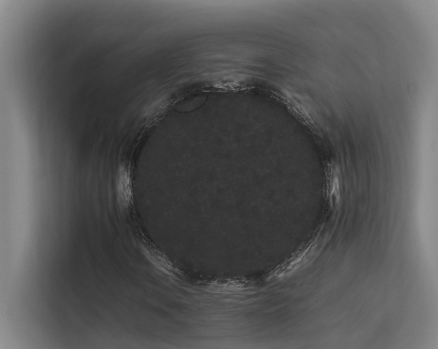 X0000113261106200909101453