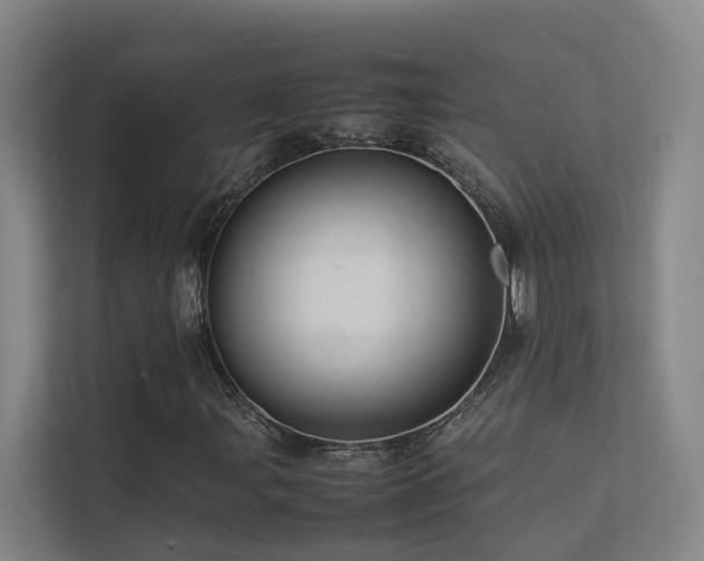 X0000113261107200909101453