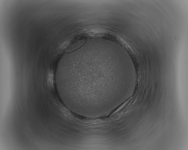 X0000113261108200909101453