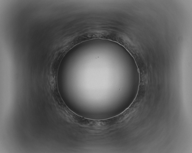 X0000113261109200909101453