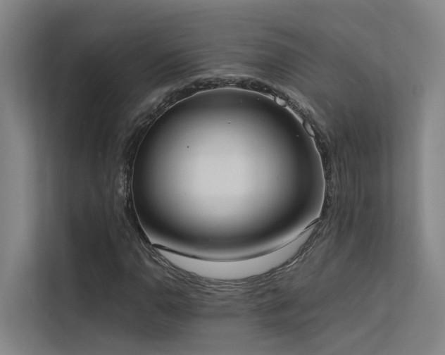 X0000113261110200909101453