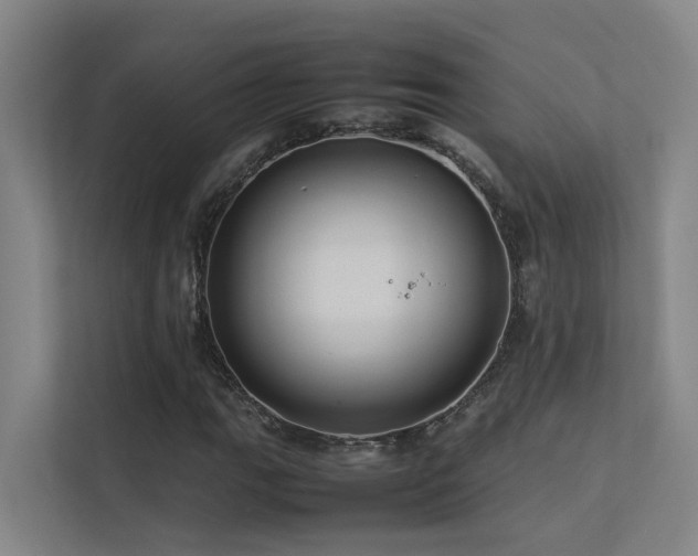 X0000113261111200909101453