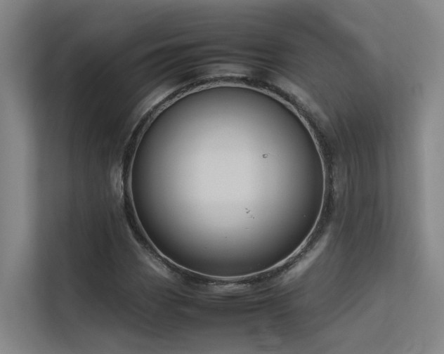 X0000113261113200909101453