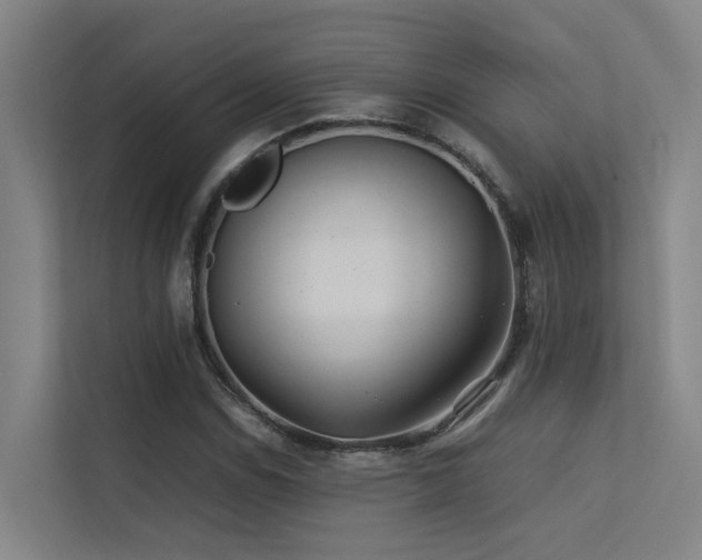 X0000113261114200909101453