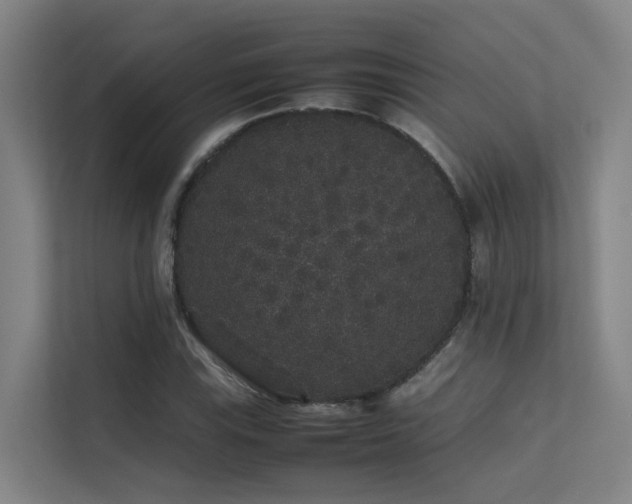 X0000113261115200909101453