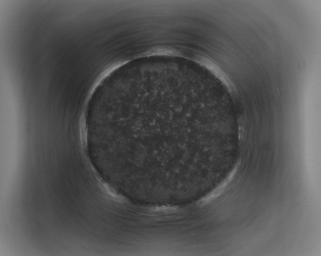 X0000113261117200909101453