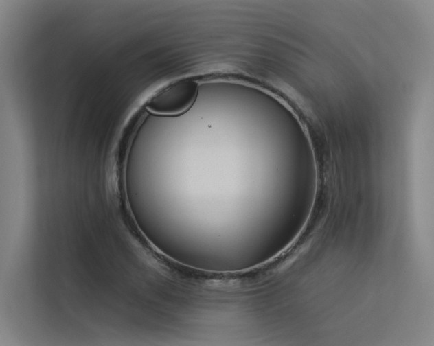 X0000113261118200909101453