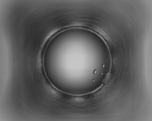 X0000113261119200909101453