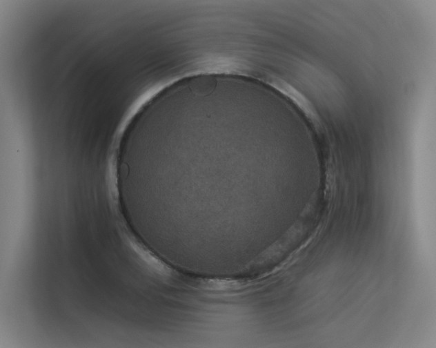 X0000113261120200909101453