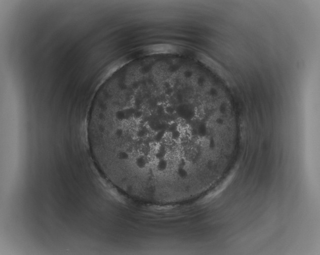 X0000113261121200909101453