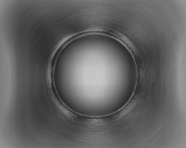 X0000113261124200909101453