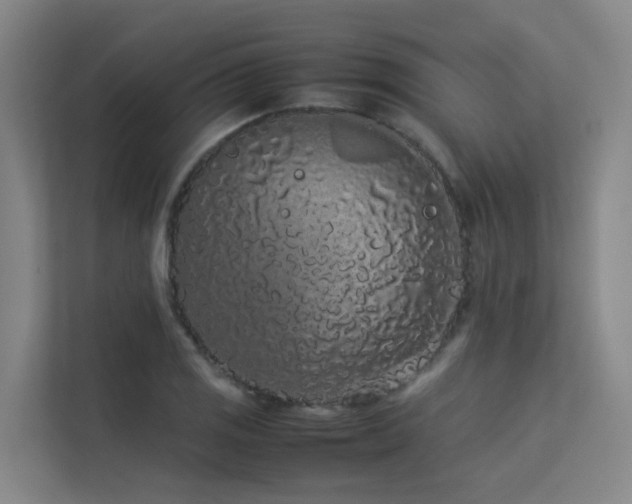 X0000113261125200909101453