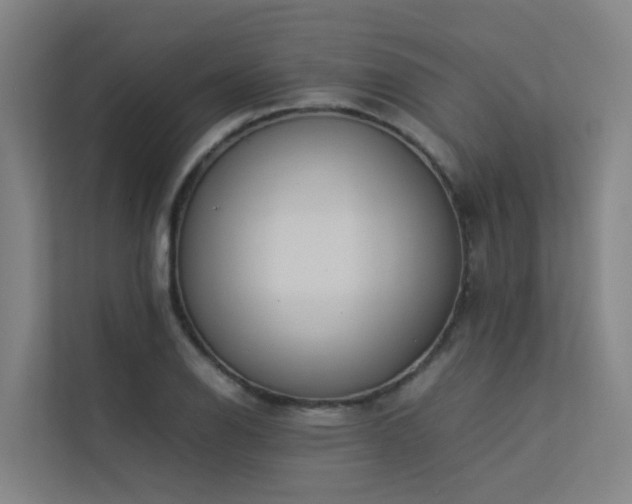 X0000113261126200909101453