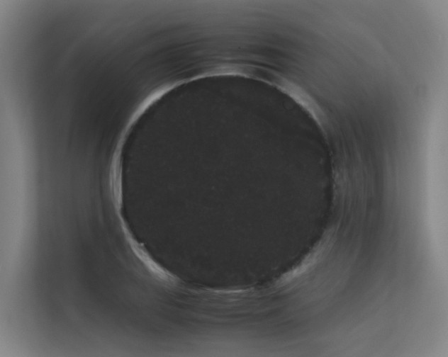 X0000113261127200909101453