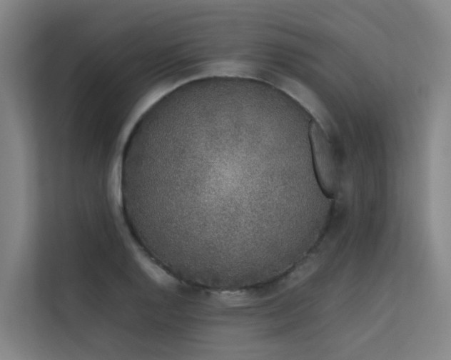 X0000113261128200909101453