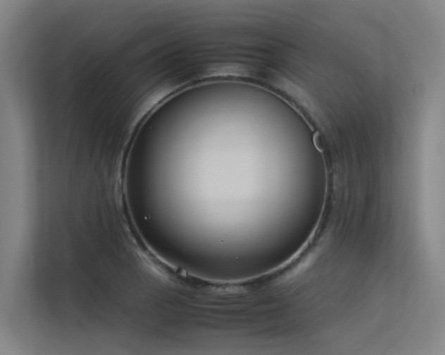 X0000113261129200909101453