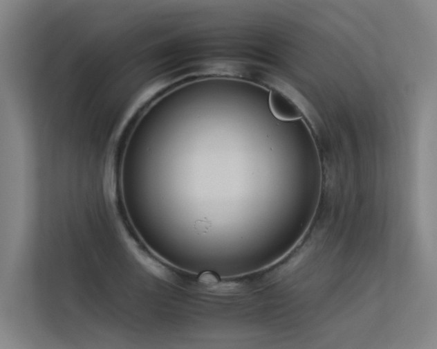 X0000113261131200909101453