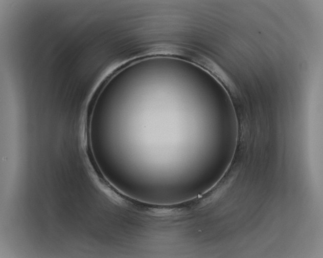 X0000113261132200909101453