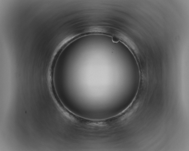 X0000113261133200909101453