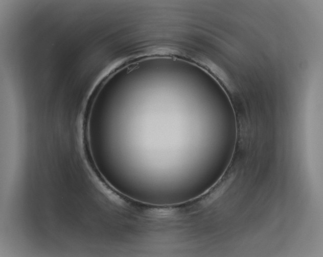 X0000113261134200909101453