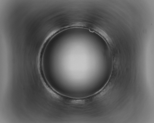 X0000113261135200909101453