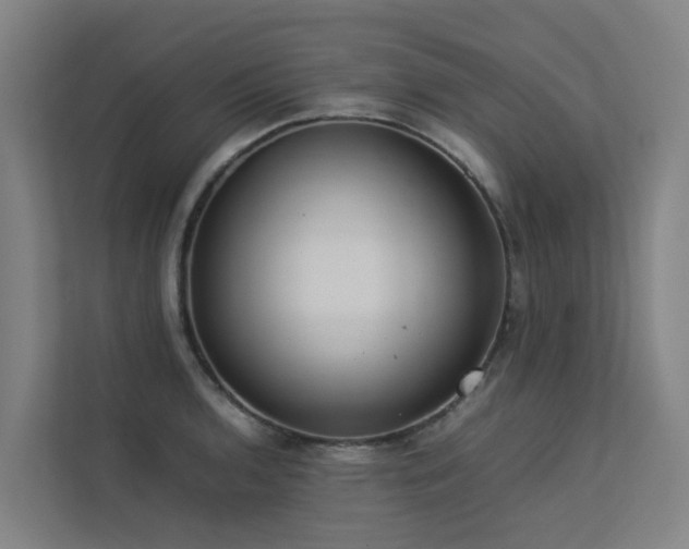 X0000113261136200909101453