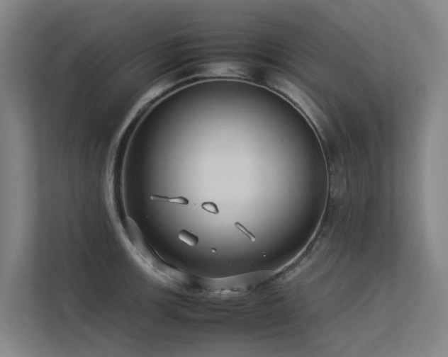 X0000113261139200909101453