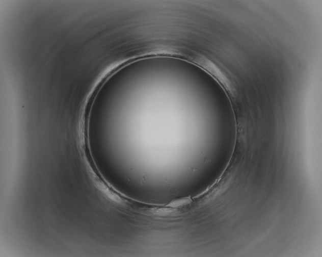 X0000113261140200909101453