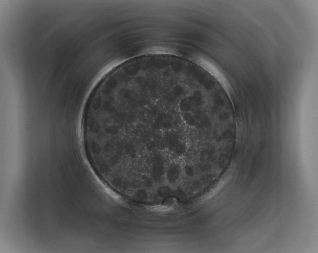 X0000113261141200909101453