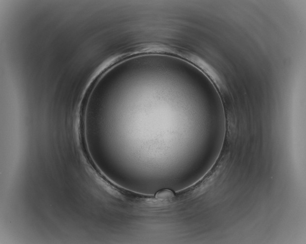 X0000113261142200909101453